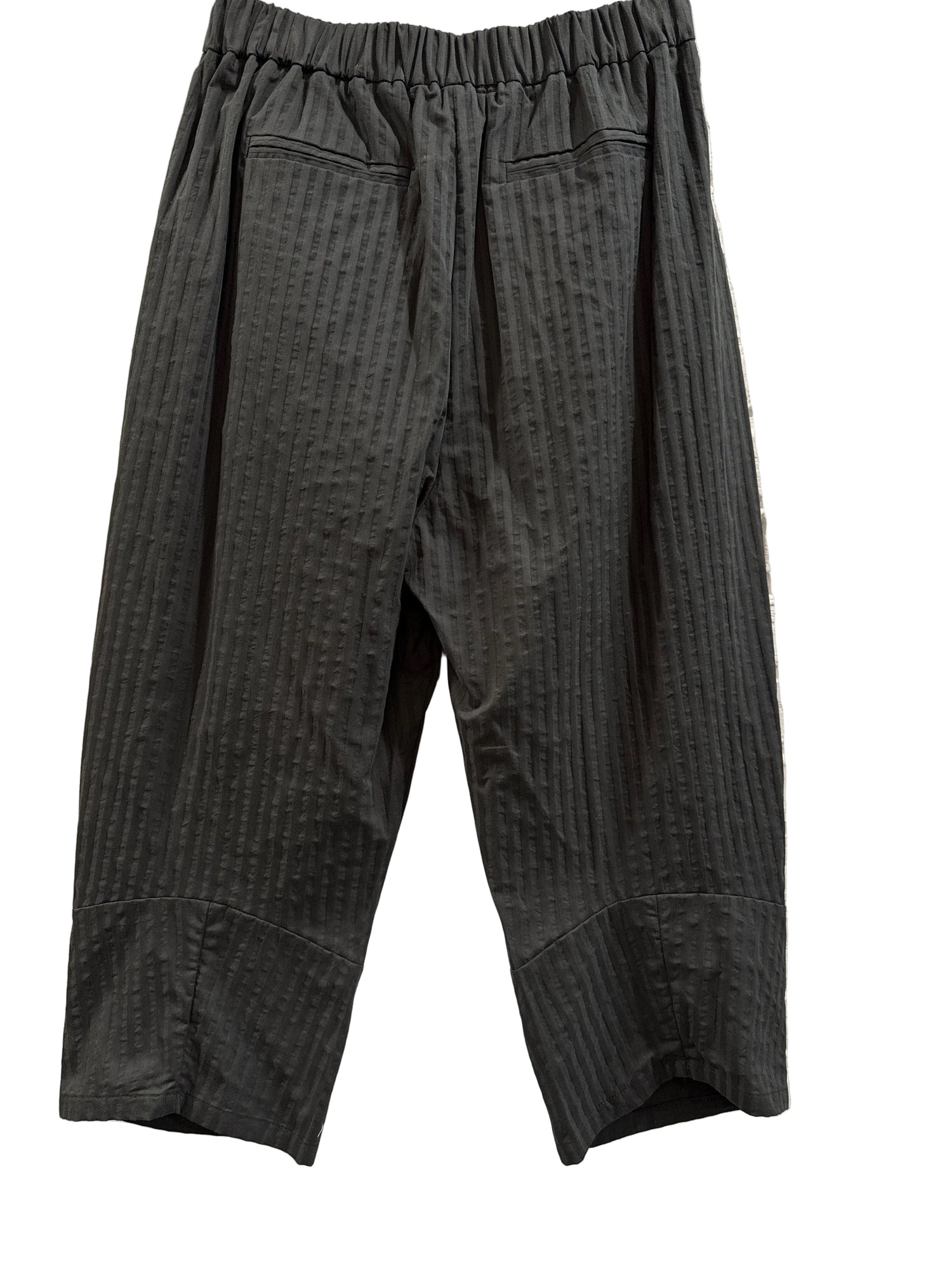 W01-240746 Striped Fabric Trousers